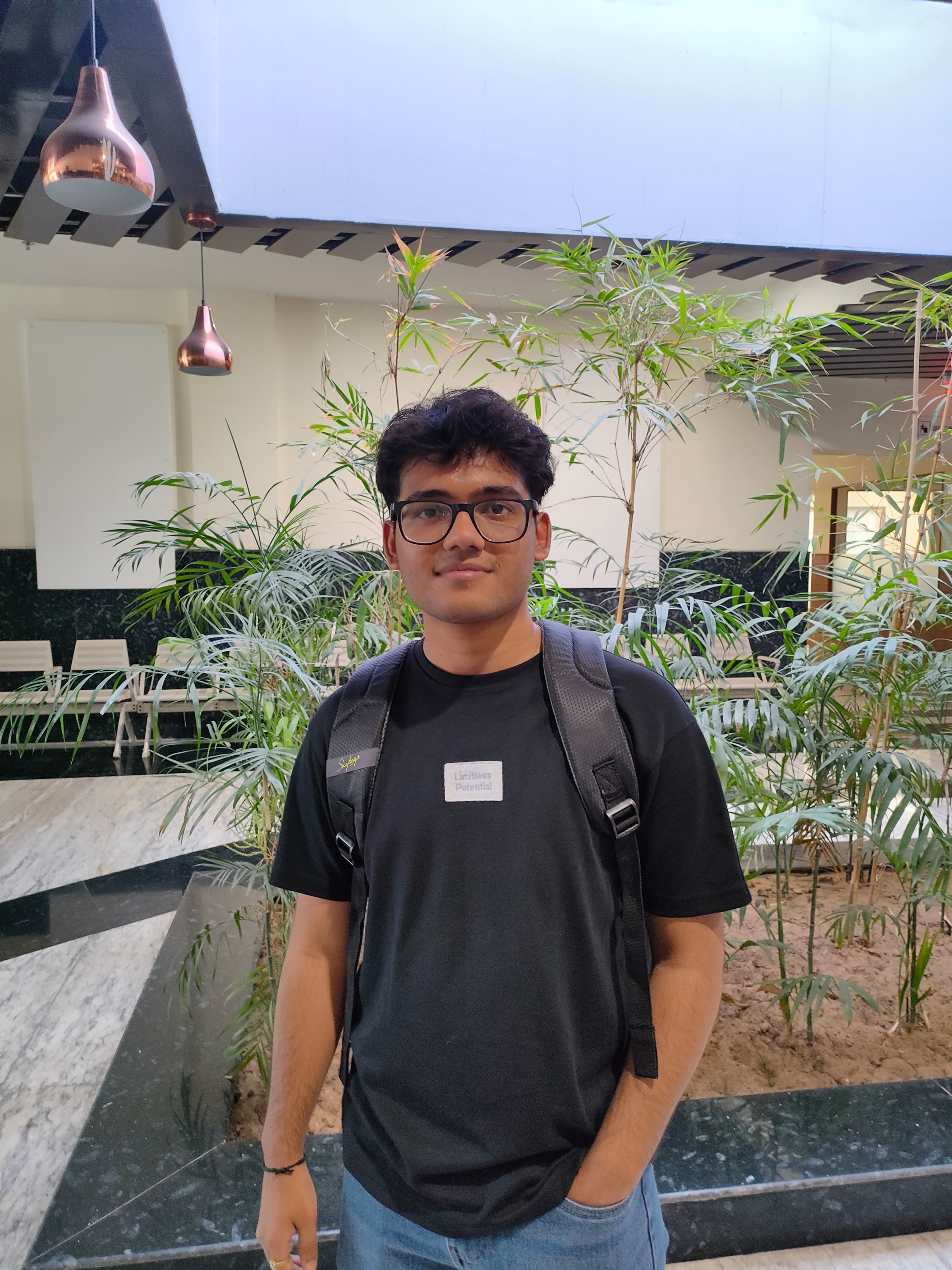 Karan Upadhyay - Professional Developer